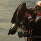 Illustration for article titled Apprentice Eagle Huntress is a title I would have died to have at 13